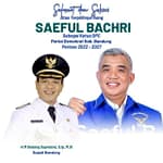 saeful bachri