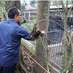 Wakil Bupati Garut Helmi Budiman meninjau Taman Satwa Cikembulan Wakil Bupati Garut Helmi Budiman meninjau Taman Satwa Cikembulan