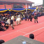 Sejumlah ragam seni budaya ditampilkan Dewan Kesenian Garut (DKG) untuk memeriahkan Hari Jadi Garut Sejumlah ragam seni budaya ditampilkan Dewan Kesenian Garut (DKG) untuk memeriahkan Hari Jadi Garut