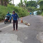 Warga Desa Sukalilah, Kecamatan Cibatu Kabupaten Garut menambal lubang di jalan kabupaten pakai semen Warga Desa Sukalilah, Kecamatan Cibatu Kabupaten Garut menambal lubang di jalan kabupaten pakai semen