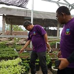 Bupati Garut Rudy Gunawan dan Kepala Dinas Pertanian tinjau pekarangan program dari Harum Madu Bupati Garut Rudy Gunawan dan Kepala Dinas Pertanian tinjau pekarangan program dari Harum Madu