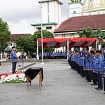 Bupati Garut Lantik 3.295 Tenaga Guru Honorer Jadi PPPK Bupati Garut Lantik 3.295 Tenaga Guru Honorer Jadi PPPK