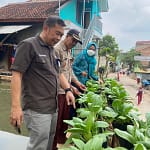 Camat Kersamanah Muhrom Suhandi monitoring Harum Madu di Desa Camat Kersamanah Muhrom Suhandi monitoring Harum Madu di Desa