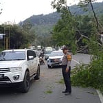 IMG-20240312-WA0036
