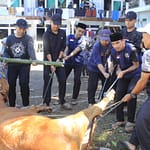 penyembelihan hewan kurban
