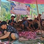 pengoahan daging kurban