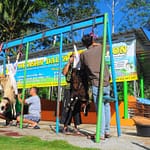 Yayasan Dalfa colection