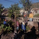 IMG-20240721-WA0029