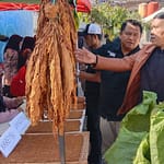 IMG-20240825-WA0083
