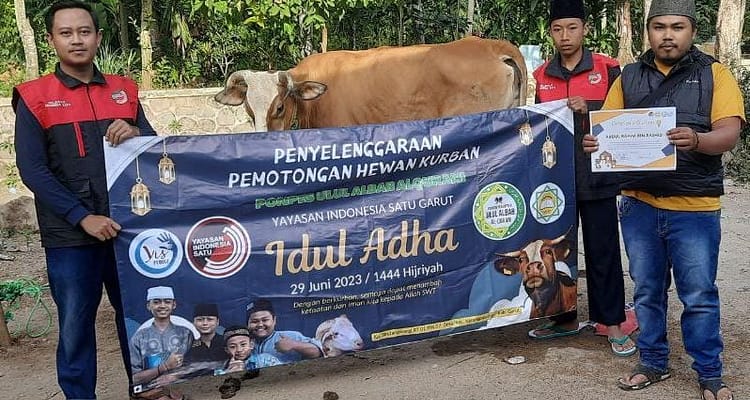Penyelenggara'an Penyembelihan & Pembagian Hewan Qurban Oleh Yayasan Indonesia Satu Penyelenggara'an Penyembelihan & Pembagian Hewan Qurban Oleh Yayasan Indonesia Satu