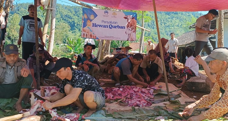 pengoahan daging kurban