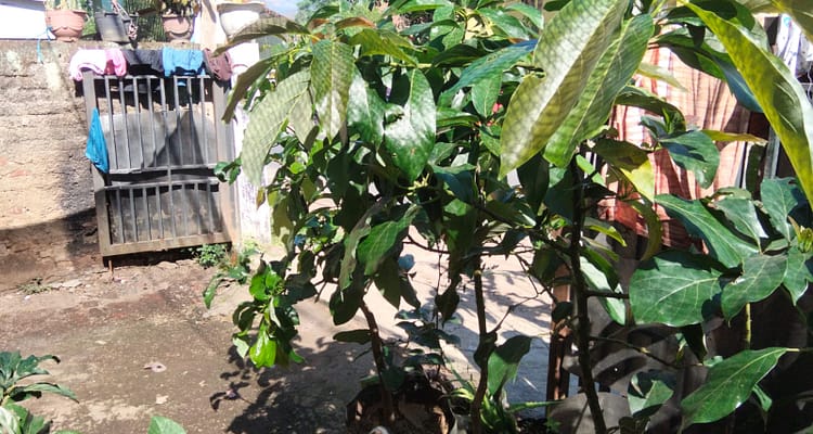IMG-20260611-WA0043