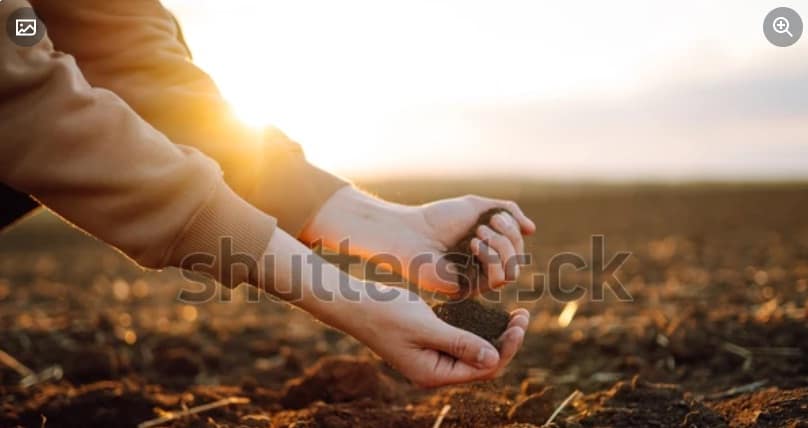 Masalah yang membelit petani Cikajang diminta diselesaikan secara melalui GTRA.. ( ILUSTRASI shutterstock) Masalah yang membelit petani Cikajang diminta diselesaikan secara melalui GTRA.. ( ILUSTRASI shutterstock)